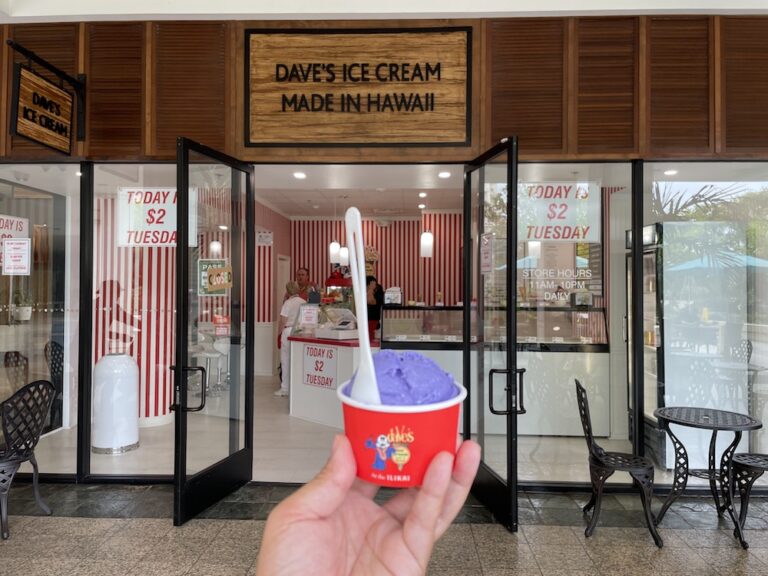 火曜限定！ 1スクープ2のアイスクリームを販売するイリカイのデーヴズ・アイスクリーム（終了しました）