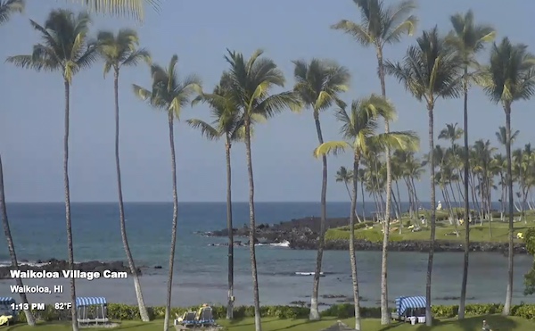 ハワイ島のヒルトン・ワイコロア・ビレッジのウェブカメラです。