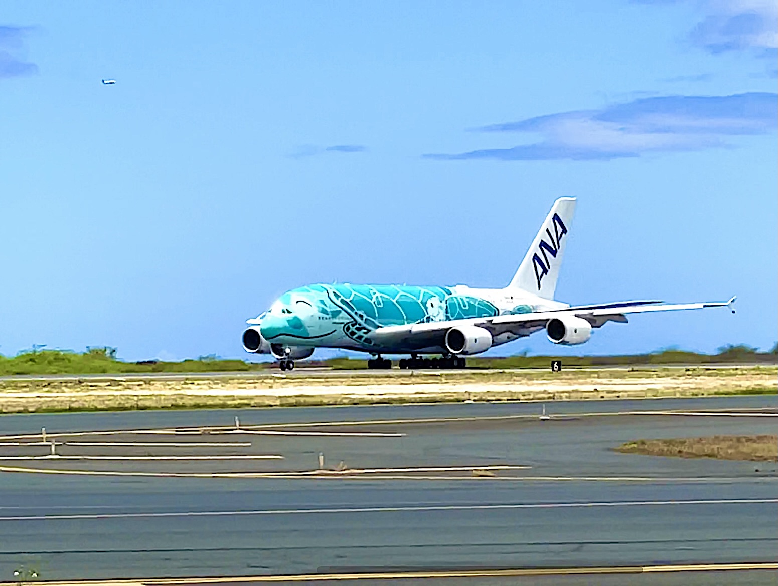 ANAのフライング・ホヌ（A380）4月20日から毎日運航へ（成田⇄ホノルル路線）