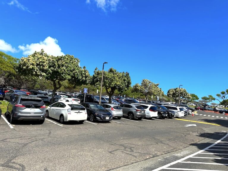 ハナウマ湾を詳しく体験レポート！早い時間帯がおすすめ！