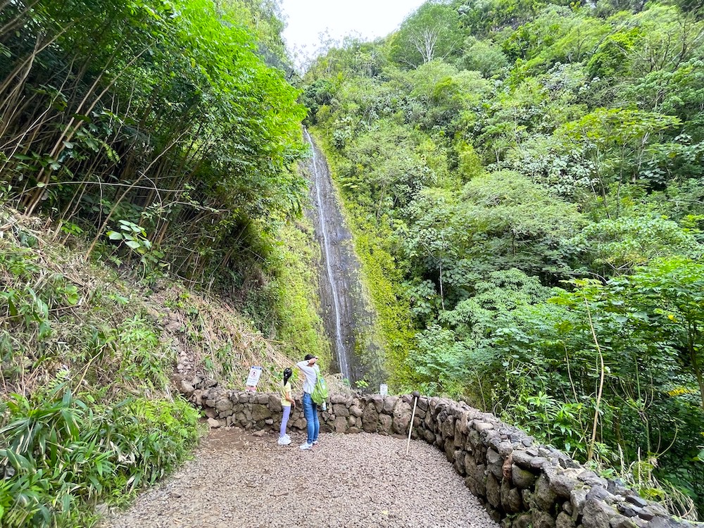 マノアの滝（マノア・トレール・フォールズ）攻略法！ハワイの大自然を吸収して、森林浴を楽しもう！