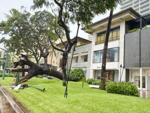 ハワイ諸島を襲うコナストーム　ワイキキ冠水や住宅被害も（2026年3月14日現在）