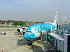 ANA・JAL 燃油サーチャージ、前倒しで値上げへ